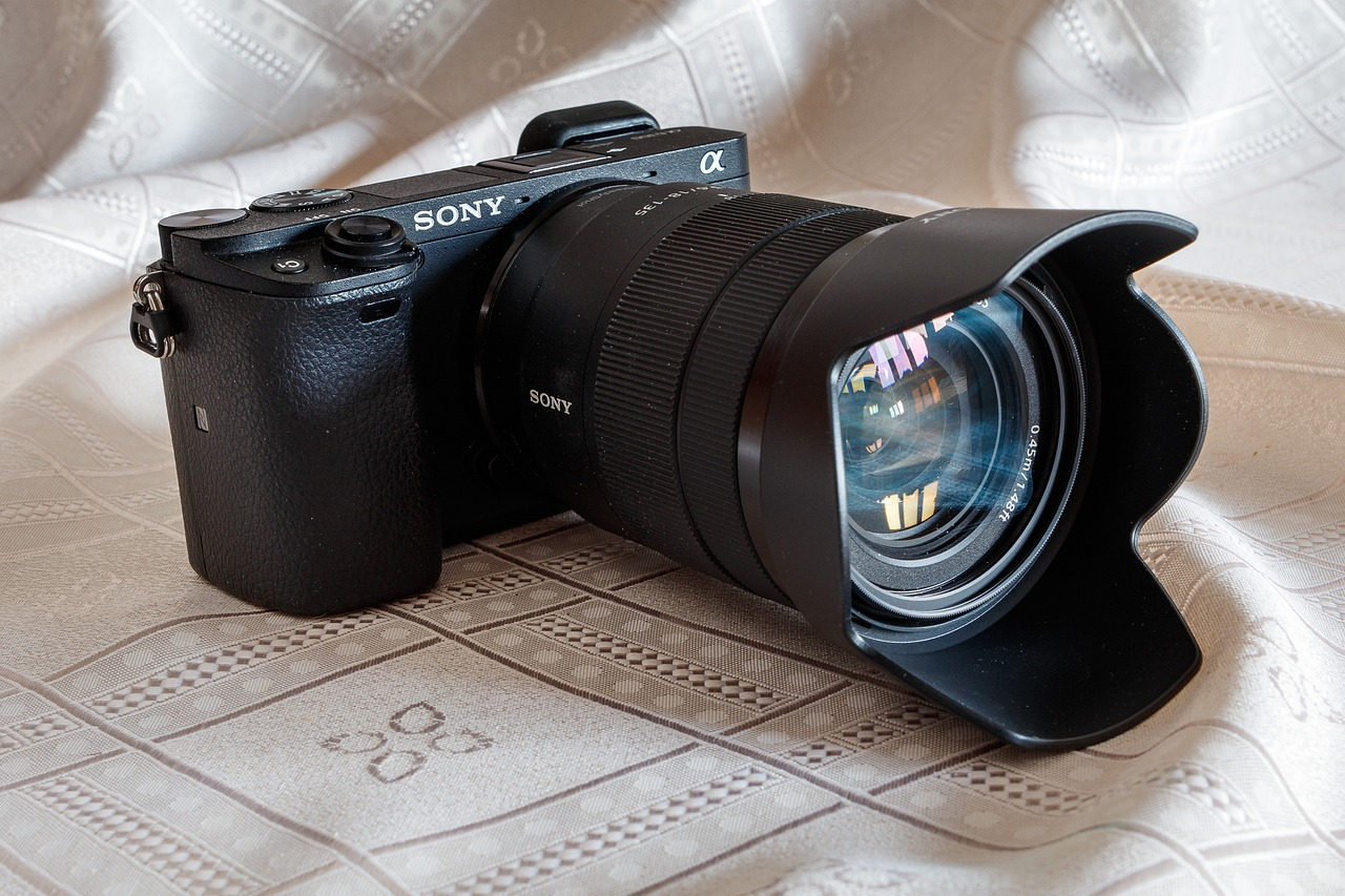 Definitive guide: The mirrorless cameras that are revolutionizing photography